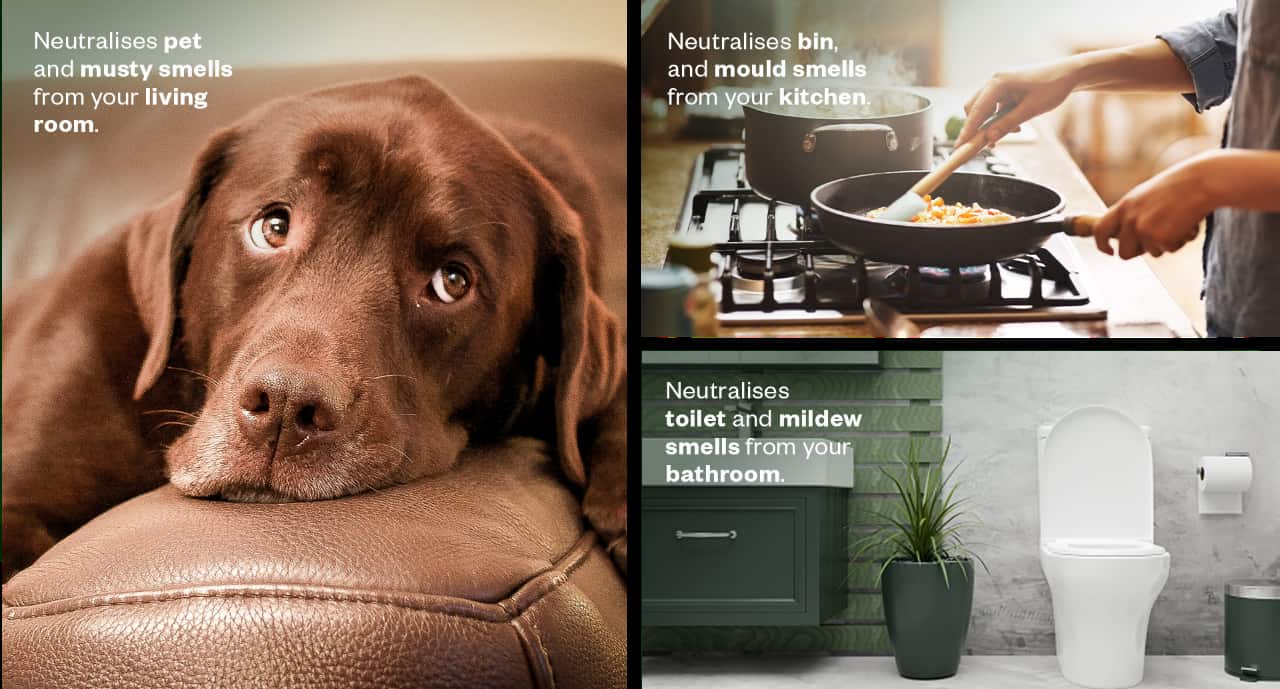 Neutralises pet and musty smells from your living room.  Neutralises bin and mould smells from your kitchen. Neutralises toilet and mildew smells from your bathroom.