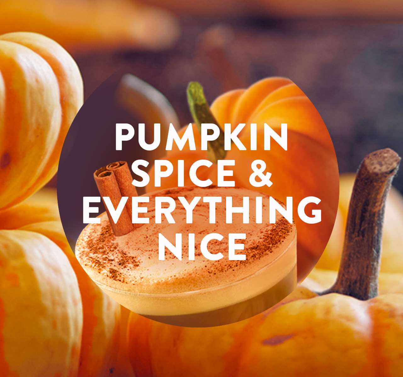 Spiced Pumpkin the fragrance for Air Wick Air Freshener Pumpkin Spice & Everything Nice