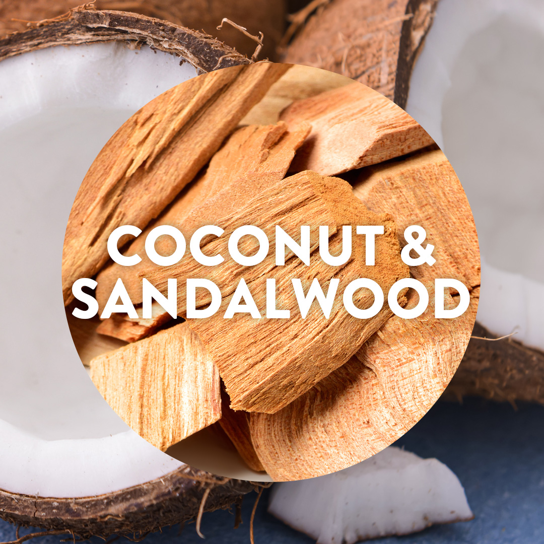 Air Wick Stacey Solomon Welcome Home Collection: Introducing the Paradise Escape Coconut & Sandalwood Fragrance, Liquid Electrical and Reed Diffuser
