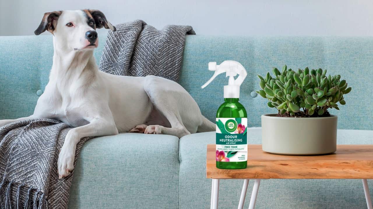 Odour Neutralising Air Spray