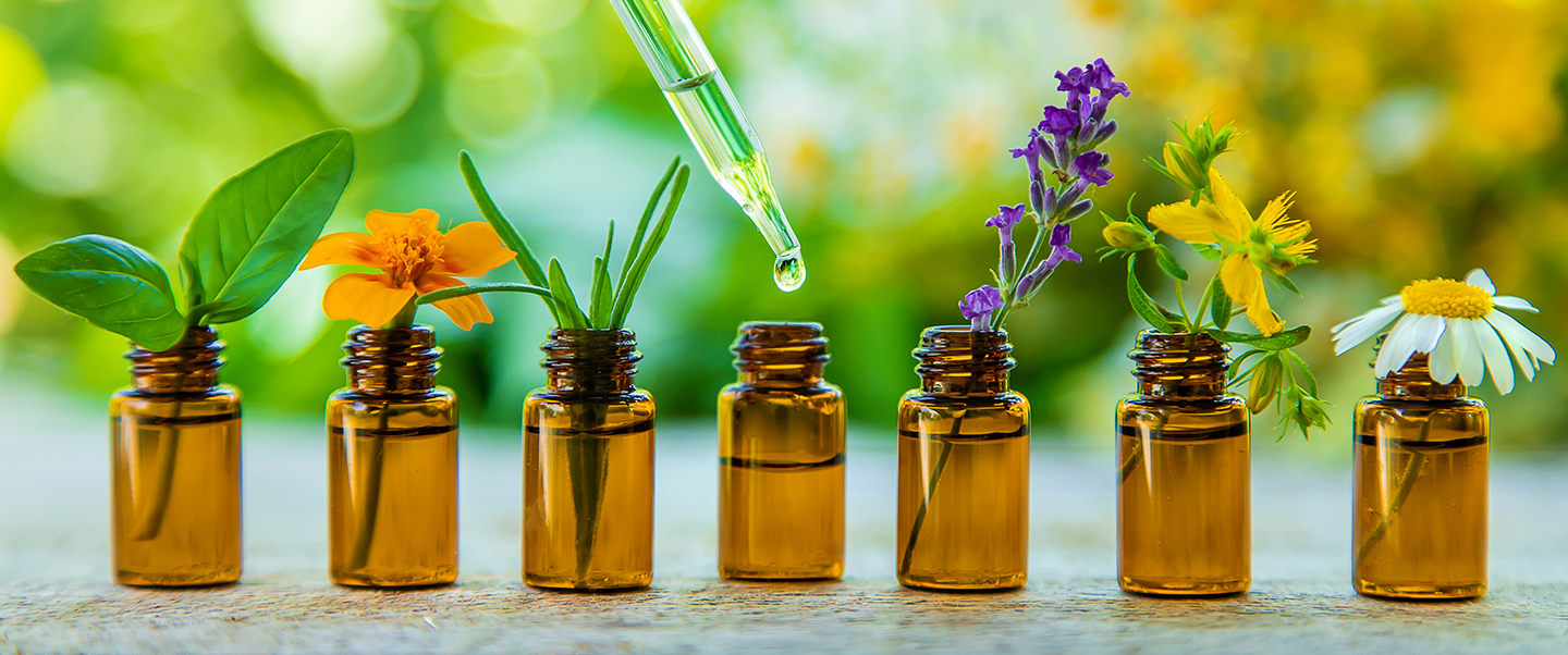 What Is the Best House Scent? Air Wick UK